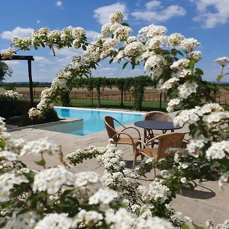ホテル Resort-le Terre Dei Cavalieri